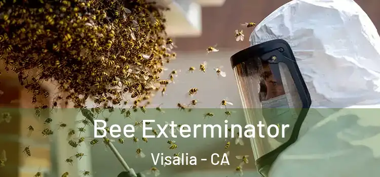 Bee Exterminator Visalia - CA