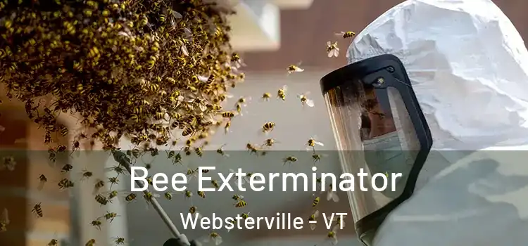  Bee Exterminator Websterville - VT