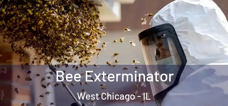 Bee Exterminator West Chicago - IL