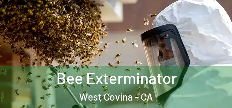 Bee Exterminator West Covina - CA