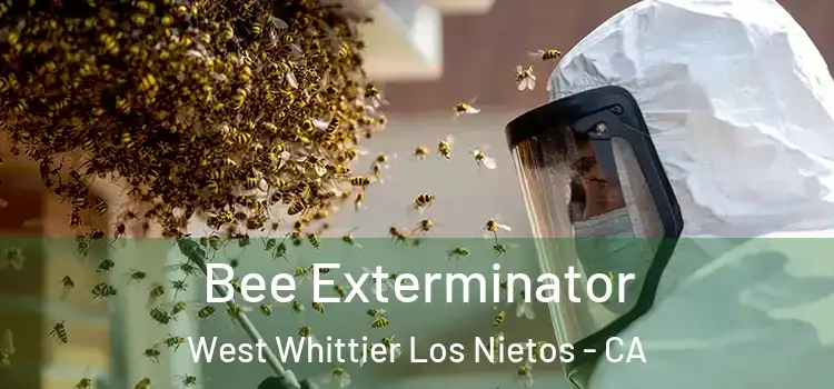 Bee Exterminator West Whittier Los Nietos - CA