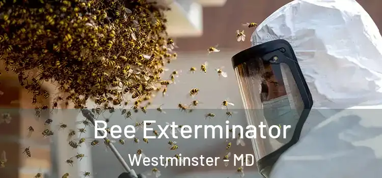  Bee Exterminator Westminster - MD