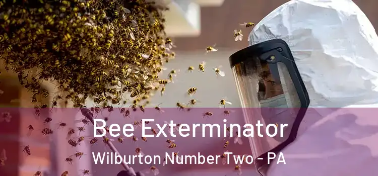  Bee Exterminator Wilburton Number Two - PA