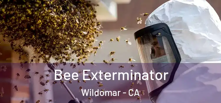Bee Exterminator Wildomar - CA
