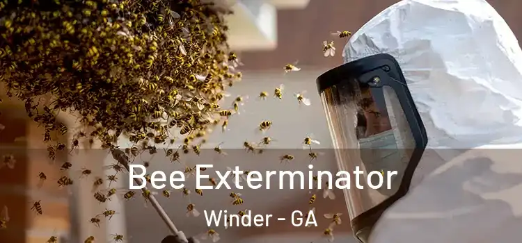 Bee Exterminator Winder - GA