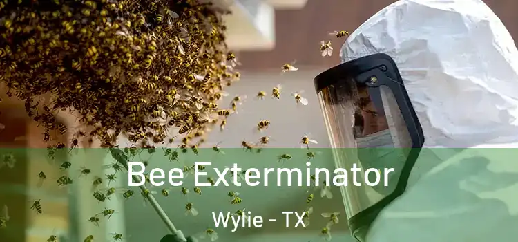  Bee Exterminator Wylie - TX