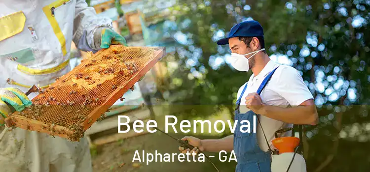  Bee Removal Alpharetta - GA