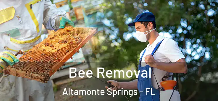  Bee Removal Altamonte Springs - FL