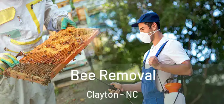  Bee Removal Clayton - NC