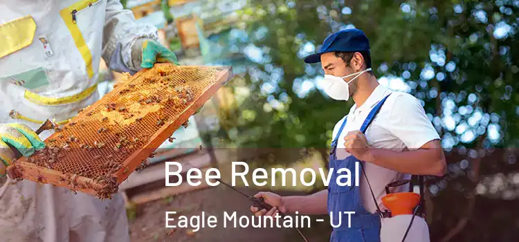  Bee Removal Eagle Mountain - UT