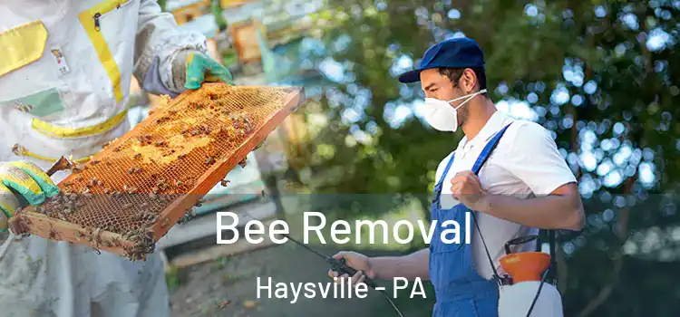  Bee Removal Haysville - PA