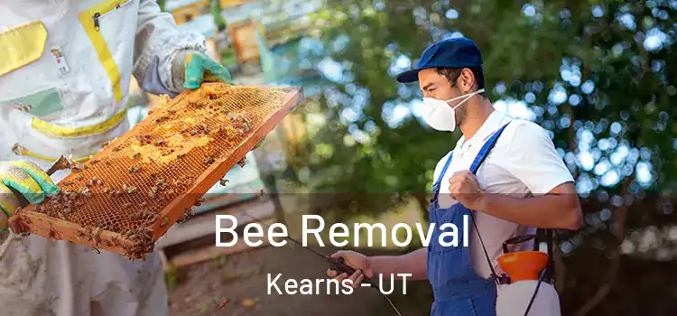  Bee Removal Kearns - UT
