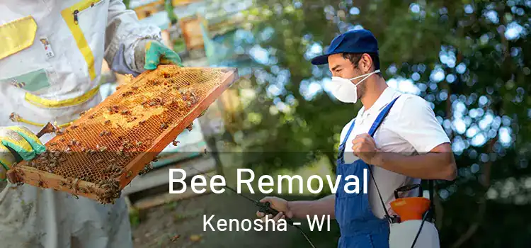  Bee Removal Kenosha - WI