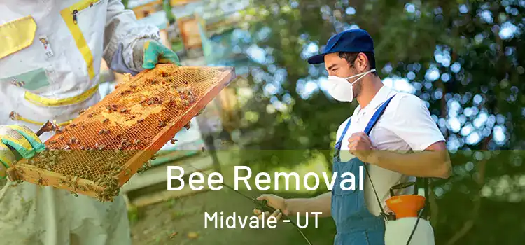  Bee Removal Midvale - UT
