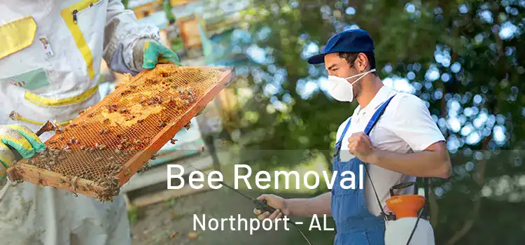  Bee Removal Northport - AL