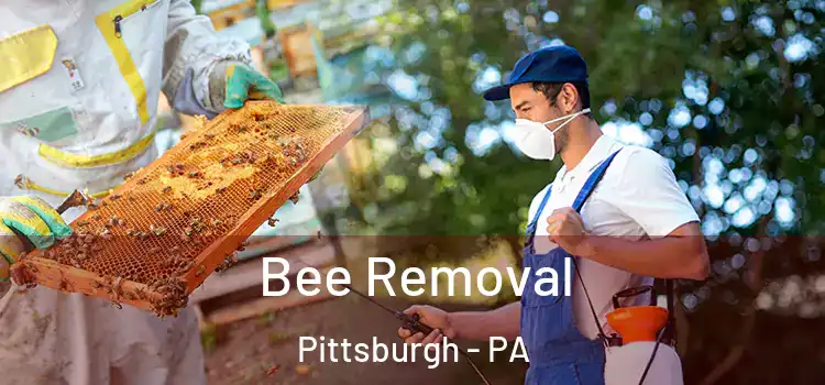  Bee Removal Pittsburgh - PA