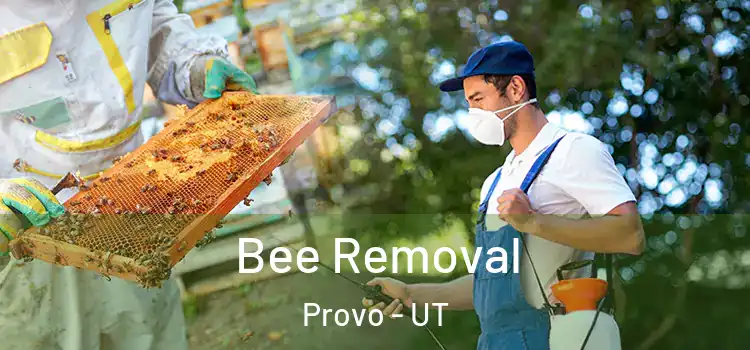  Bee Removal Provo - UT