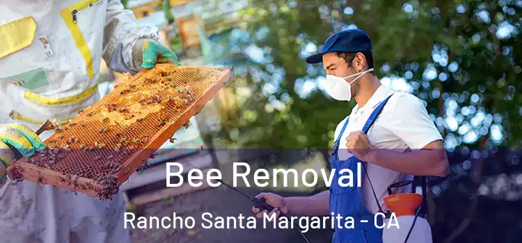 Bee Removal Rancho Santa Margarita - CA