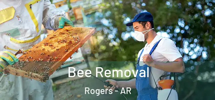  Bee Removal Rogers - AR