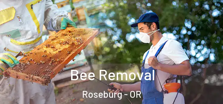  Bee Removal Roseburg - OR