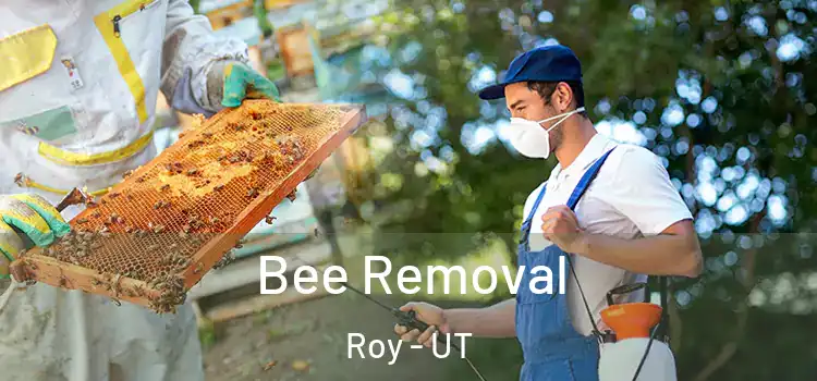  Bee Removal Roy - UT