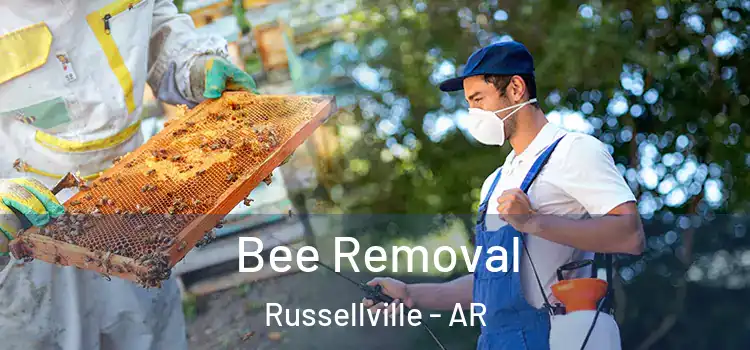  Bee Removal Russellville - AR
