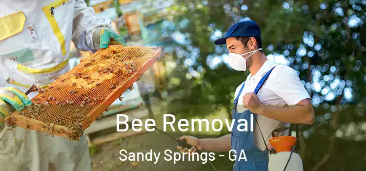  Bee Removal Sandy Springs - GA