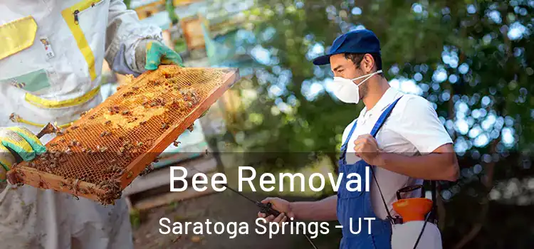  Bee Removal Saratoga Springs - UT