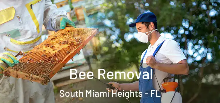  Bee Removal South Miami Heights - FL