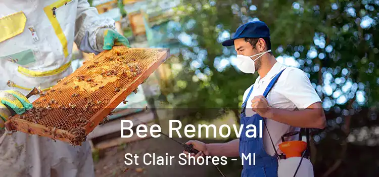  Bee Removal St Clair Shores - MI
