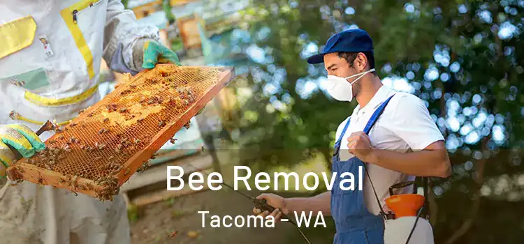  Bee Removal Tacoma - WA