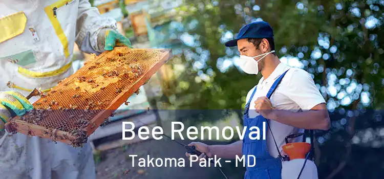  Bee Removal Takoma Park - MD