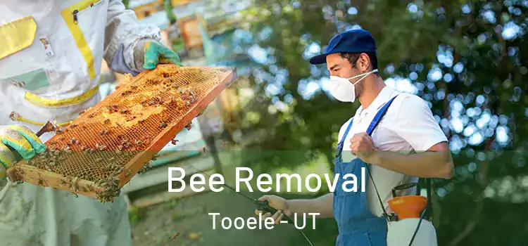  Bee Removal Tooele - UT