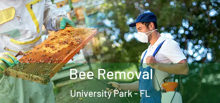  Bee Removal University Park - FL