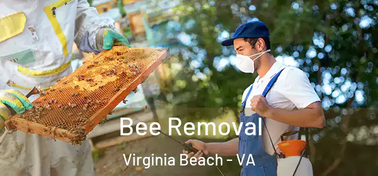  Bee Removal Virginia Beach - VA
