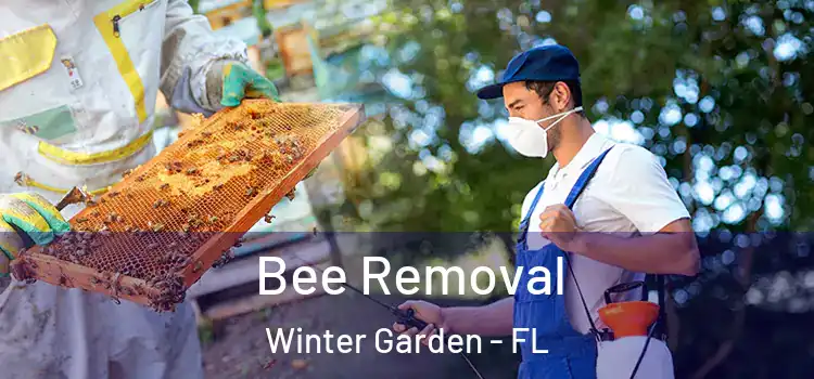  Bee Removal Winter Garden - FL