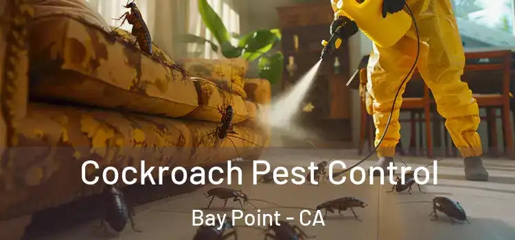  Cockroach Pest Control Bay Point - CA