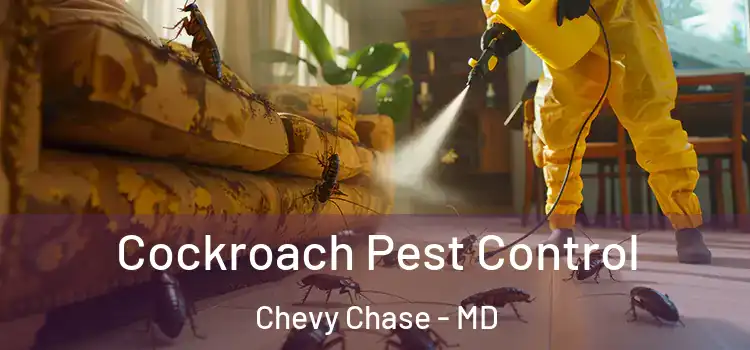  Cockroach Pest Control Chevy Chase - MD