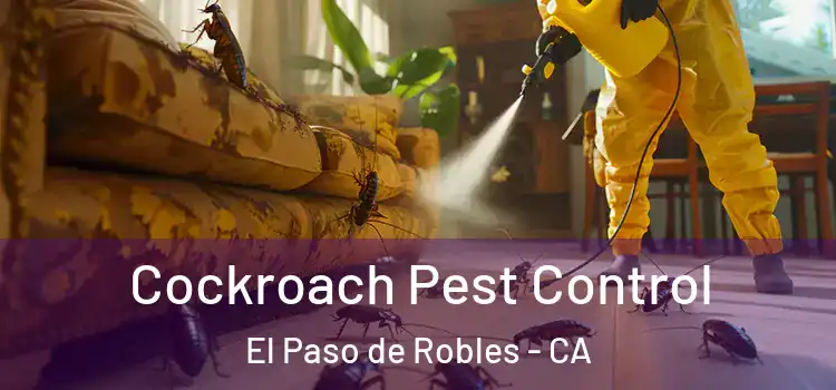  Cockroach Pest Control El Paso de Robles - CA