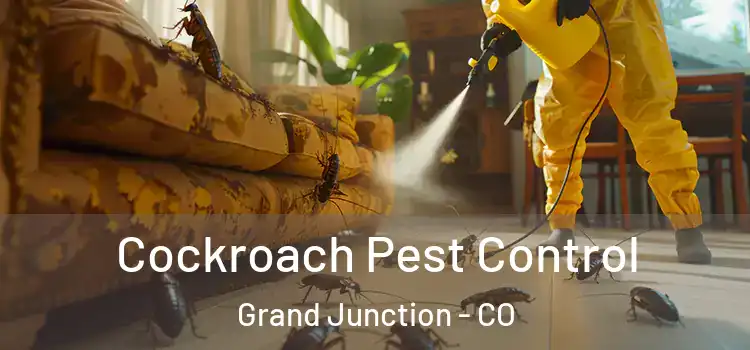  Cockroach Pest Control Grand Junction - CO