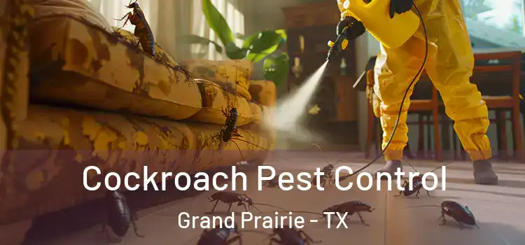  Cockroach Pest Control Grand Prairie - TX