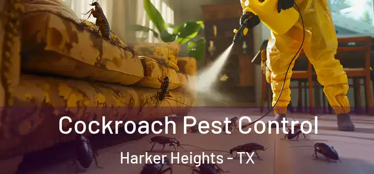  Cockroach Pest Control Harker Heights - TX