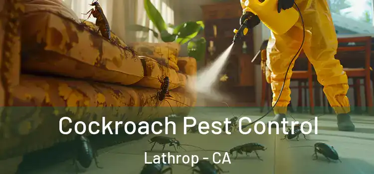  Cockroach Pest Control Lathrop - CA
