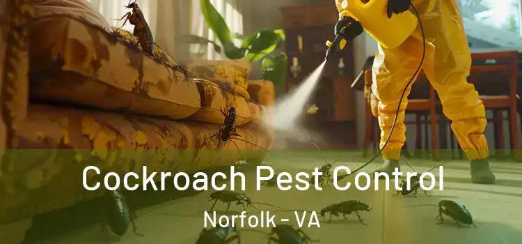  Cockroach Pest Control Norfolk - VA