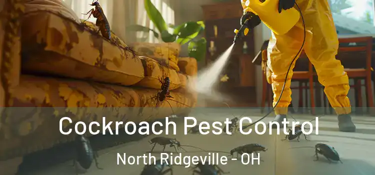  Cockroach Pest Control North Ridgeville - OH
