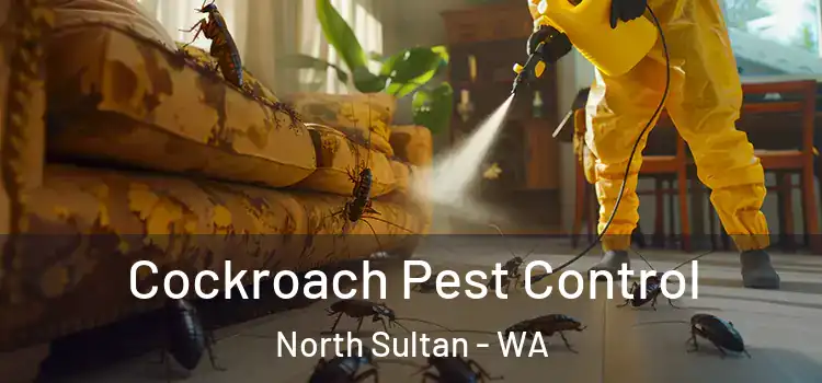  Cockroach Pest Control North Sultan - WA