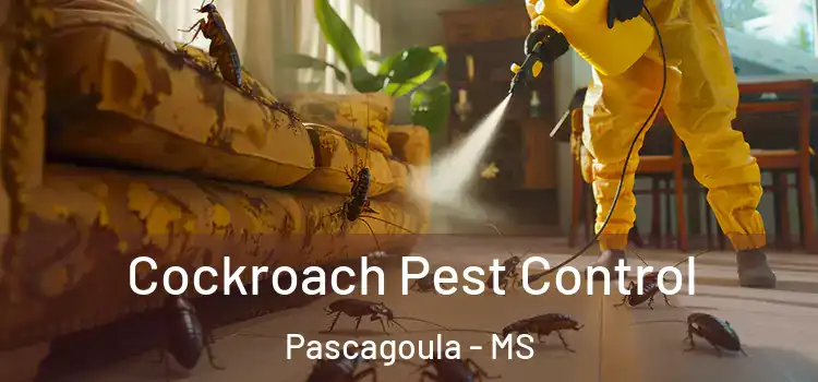  Cockroach Pest Control Pascagoula - MS