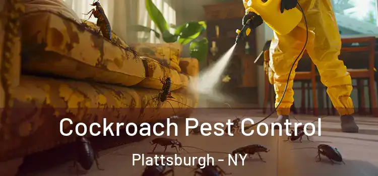  Cockroach Pest Control Plattsburgh - NY