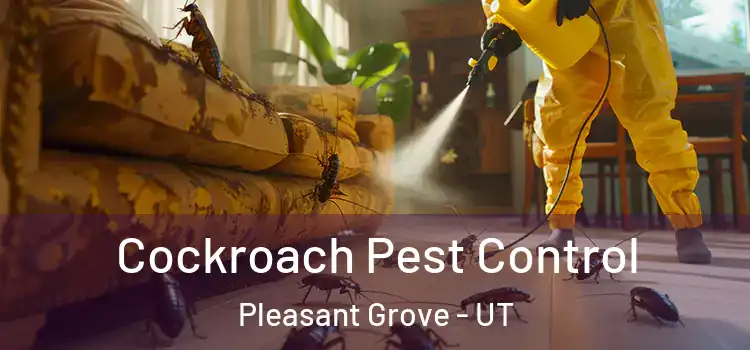 Cockroach Pest Control Pleasant Grove - UT