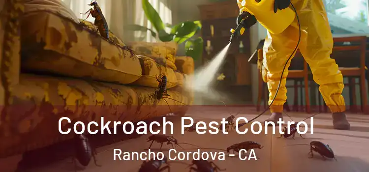  Cockroach Pest Control Rancho Cordova - CA